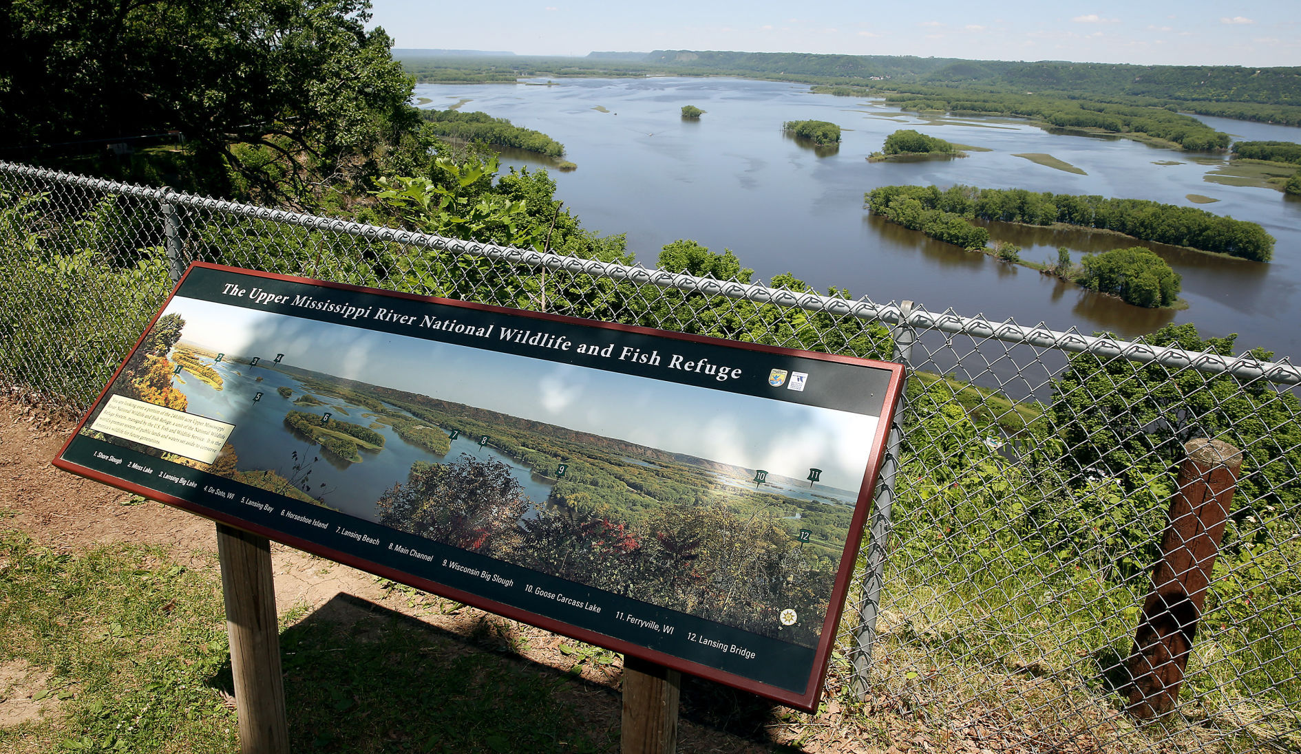 THE GREAT RIVER-0065